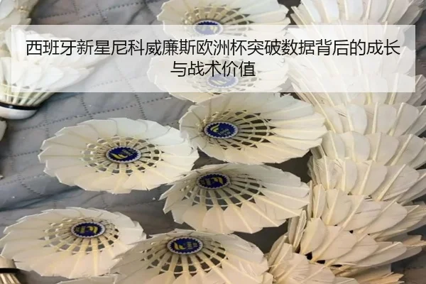 西班牙新星尼科威廉斯欧洲杯突破数据背后的成长与战术价值